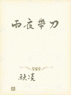 雨夜带刀封面