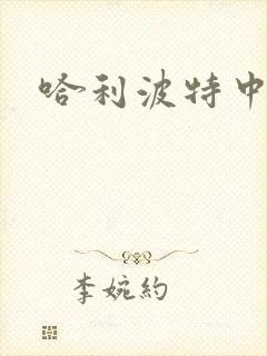 哈利波特中文版封面