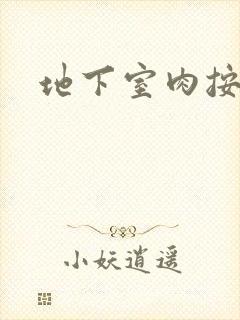 地下室肉按摩椅