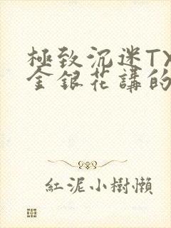 极致沉迷TXL金银花讲的什么封面
