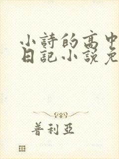 小诗的高中成长日记小说免费阅读封面