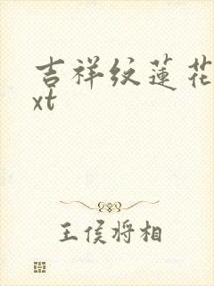 吉祥纹莲花楼txt封面