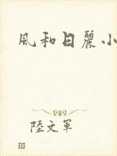风和日丽小说封面