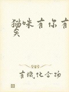 猫咪有你有我足矣