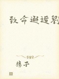 致命邂逅刘小寐封面