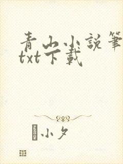 青山小说笔趣阁txt下载