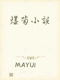 爆菊小说