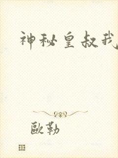 神秘皇叔我要了封面