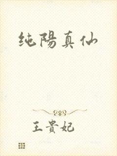 纯阳真仙