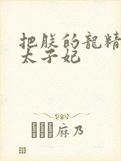 把朕的龙精含h太子妃封面