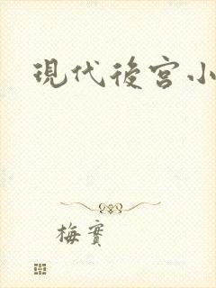 现代后宫小说封面