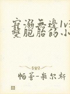 宠溺无边1v3双胞胎的小说