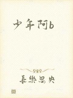 少年阿b封面