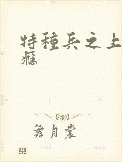 特种兵之上你成瘾封面