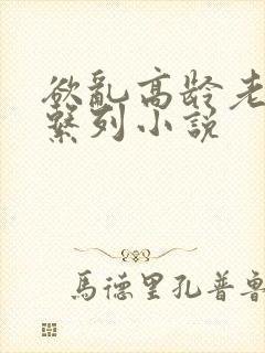 欲乱高龄老女人系列小说封面