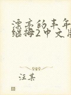 漂亮的丰年经的继拇2中文版封面