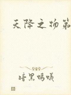 天降之物第一季