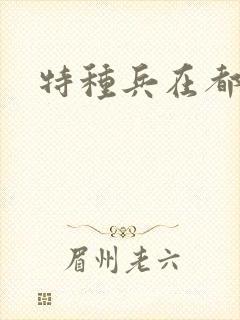 特种兵在都市封面