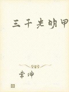 三千光明甲封面