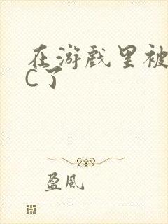 在游戏里被怪物C了