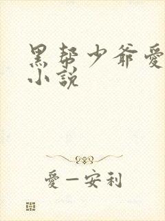 黑帮少爷爱上我小说