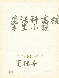 魔法科高校的劣等生小说