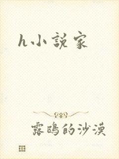 h小说家