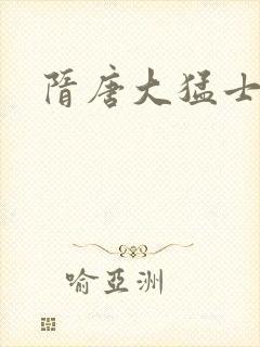 隋唐大猛士封面