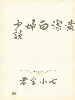 少妇白洁黄色小说