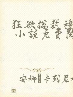 狂欲总裁穆非雪 小说免费阅读封面