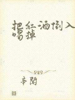 把红酒倒入b里喝掉