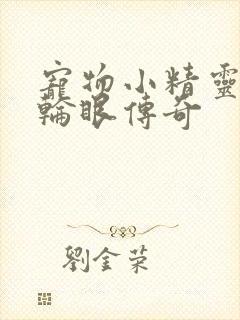 宠物小精灵之写轮眼传奇