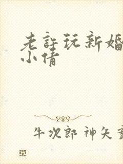 老许玩新婚少妇小倩封面