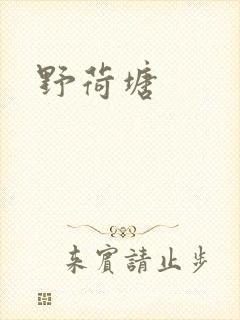 野荷塘封面