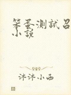 笨蛋测试召唤兽小说