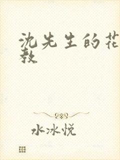 沈先生的花式管教封面