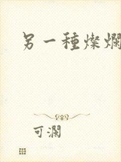 另一种灿烂生活