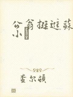 公翁挺进苏玥的小泬