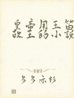 皇帝用玉笛整摄政王的小说