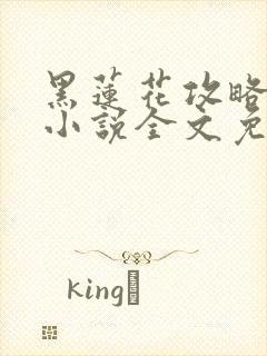 黑莲花攻略手册小说全文免费阅读笔趣阁