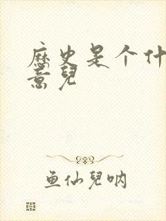 历史是个什么玩意儿封面