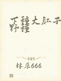 下种大肚子怀孕野种