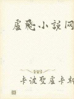 卢飞小说网