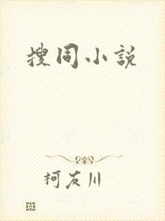 搜同小说