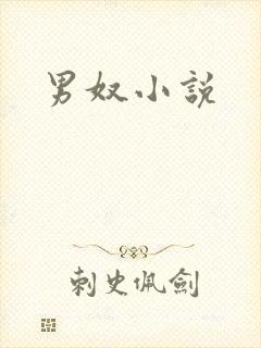 男奴小说封面