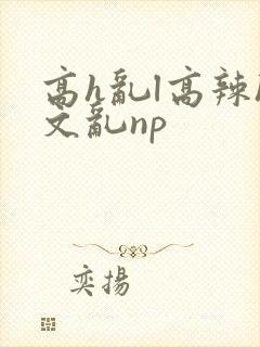 高h乱l高辣h文乱np