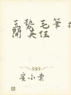 玉势 毛笔 撑开 夹住