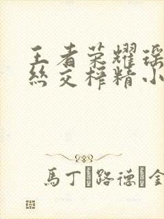 王者荣耀瑶足控丝交榨精小说封面