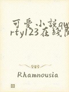 可爱小说qwerty123在线阅读笔趣阁