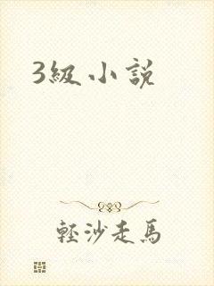 3级小说